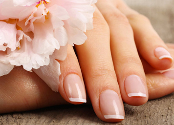 How Do I Become A Licensed Nail Tech In Florida - La Belle Beauty School